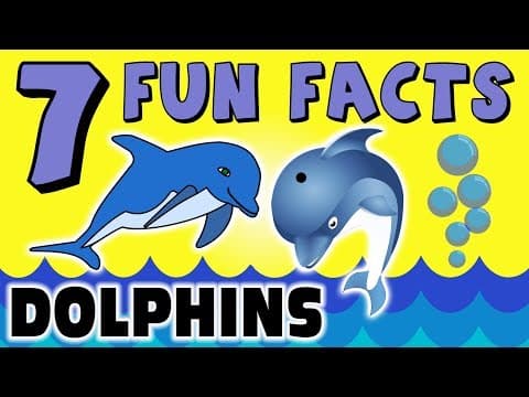 7 FUN FACTS ABOUT DOLPHINS! FACTS FOR KIDS! Ocean Learning! Learning Colors! Fun! Teach! Sock Puppet