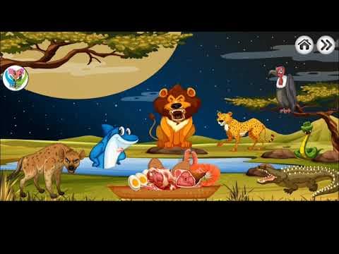 Best Kids Video to Learn Carnivore Animals - Animals Eat Meat