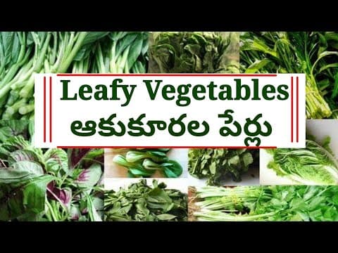 Names of leafy vegetables in telugu and english - ఆకుకూరల పేర్లు