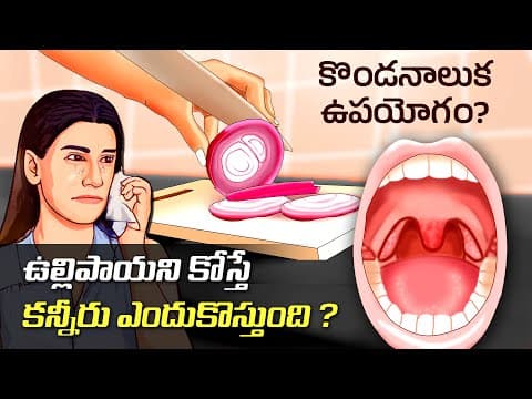 Interesting Facts in Telugu | Why do onions make you cry | What Does Your Uvula Do | Telugu Facts