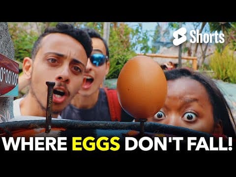 Where eggs don 't fall