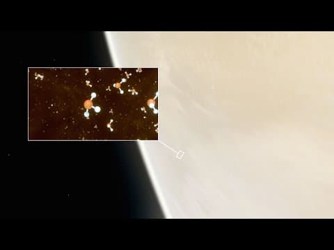 Possible signs of life on Venus