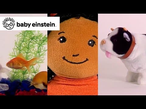 Language Nursery Compilation - Baby Einstein Classics