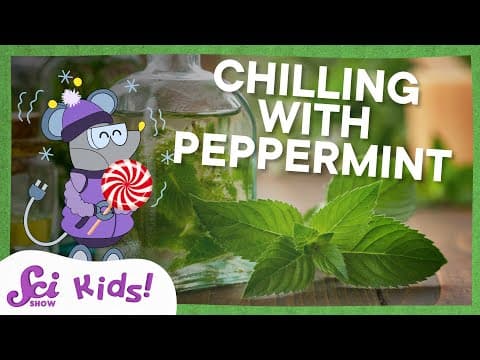 Why Does Peppermint Taste So Cold? | SciShow Kids - YouTube