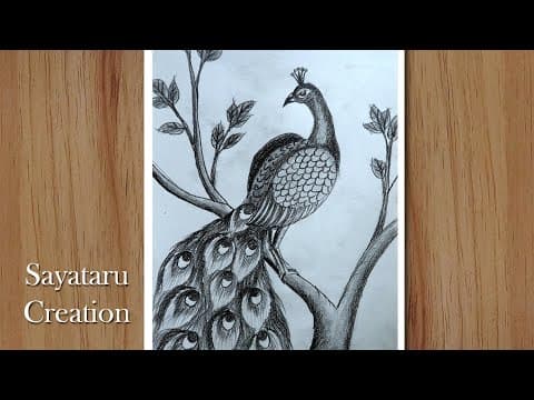 how to draw a peacock step by step with pencil, Pencil drawing for beginners
