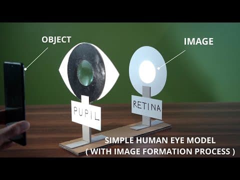 Super easy project for school students / How to make simple human eye model