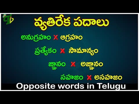 వ్యతిరేక పదాలు 1 #Vyathireka padalu |Opposite words in Telugu |Learn Telugu Language |Telugu Grammar