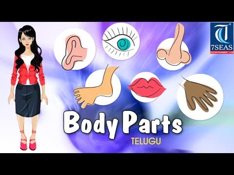 Learn human body with the kids in telugu - human body - animated video