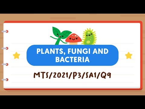 PSLE SCIENCE MADE SIMPLE EP109 | Plants, Fungi & Bacteria