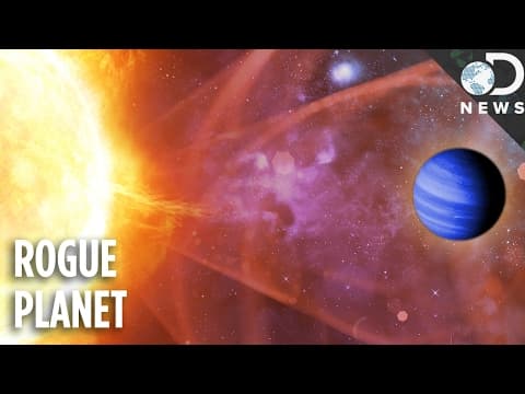 Did The Sun Steal Planet Nine From Another Solar System