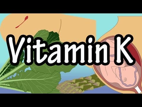 Vitamin K Per Day - Foods High In Vitamin K - Functions Of Vitamin K - Health Benefits Of Vitamin K