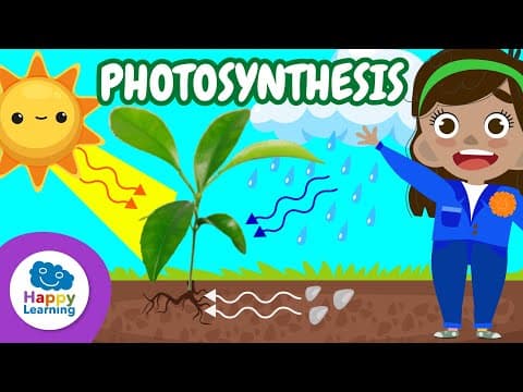 🌱 PHOTOSYNTHESIS: How Plants Make Their Food | Fun Science for Kids 🌞 | Happy Learning 📚