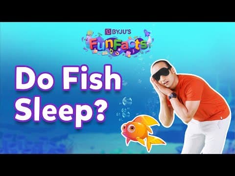 Do fish sleep?