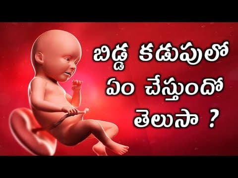 కడుపులో మీ బిడ్డ ఏం చేస్తుందో తెలుసా ? - what does your baby do inside the womb in telugu.