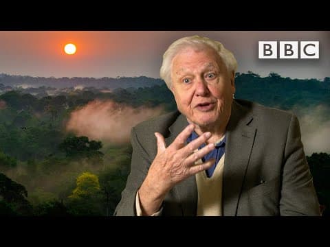 'Plants FIGHT one another, plants STRANGLE one another!' π² The Green Planet π± BBC