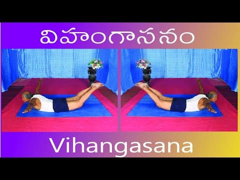 Vihangasana by Kuppi Reddy | Benefits of Vihangasana | How to do Vihangasana in Telugu | Yoga