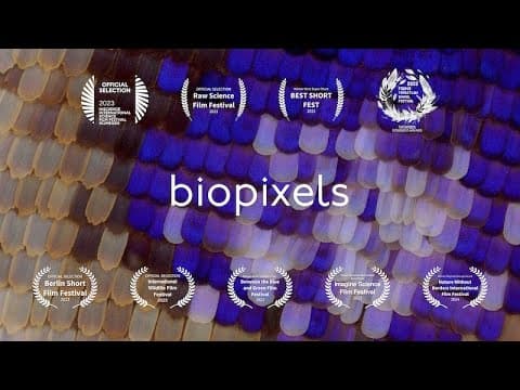 Animals turn the tables on BBC filmmakers for Planet Earth III