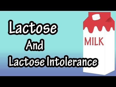 Lactose - What Is Lactose - What Is Lactose Intolerance