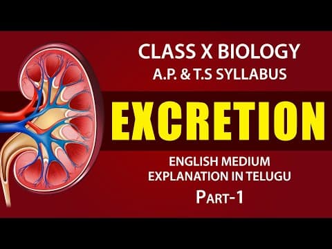 Excretion | Human excretory system Explanation in telugu