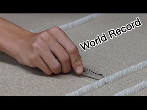Most mini-dominoes toppled – Guinness World Record