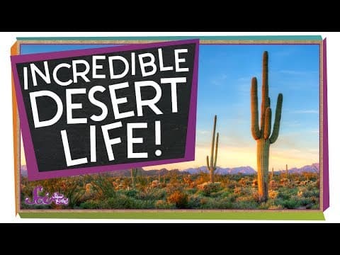 Amazing ways to live in the desert!