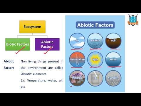 What are the Abiotic Factors of Ecosystem? || Abiotic Factors అంటే ఏమిటి?