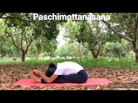 Paschimottanasana - nios yoga and physical education