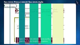 సమాంతర రేఖలు మరియు తిర్యగ్రేఖలు |Part3/3|Parallel Lines and a Transversal