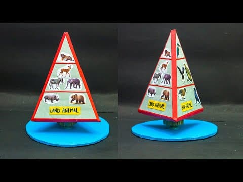 Science Project | Animal Pyramid Working Model