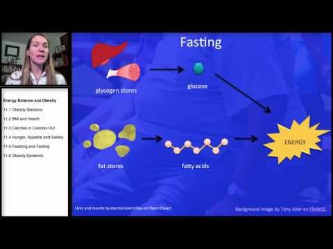Energy Balance: Feasting and Fasting