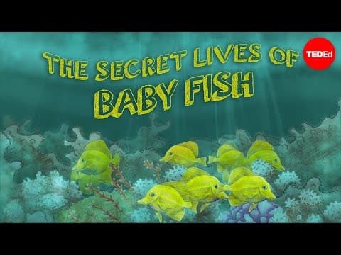 The secret lives of baby fish-amy mcdermott