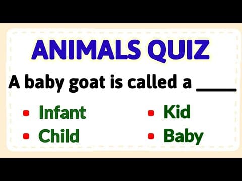 Animals quiz | Animals and their babies | gk quiz | General knowledge questions | All about animals