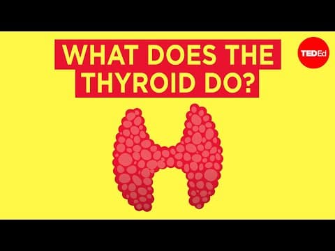 How does the thyroid manage your metabolism? - Emma Bryce - YouTube