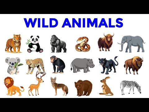 Wild Animals | Wild Animal names | Learn Wild Animals | Wild Animals for kids #wildanimals #animals