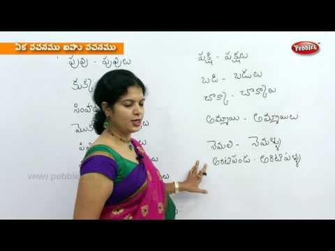 Writing singular plural in telugu - preschool learning videos - kids educational video in telugu