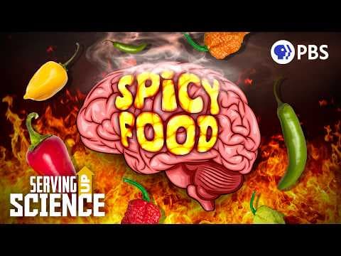 Why Does Spicy Food Burn? The Painful Science of Capsaicin | Serving Up Science