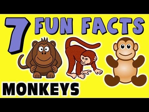 7 FUN FACTS ABOUT MONKEYS! MONKEY FACTS FOR KIDS! Learning Colors! Gorillas