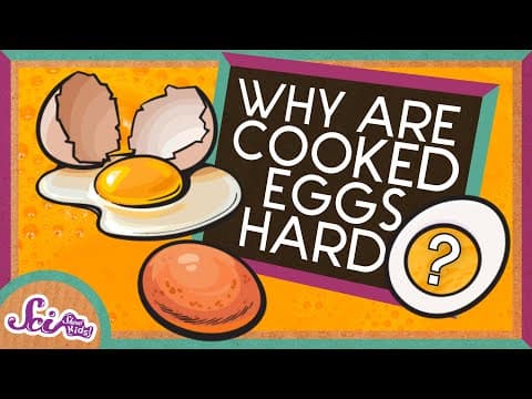 Why Does Cooking Eggs Make Them Hard? | The Science of Cooking | SciShow Kids