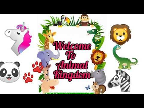 Animal riddles for kids