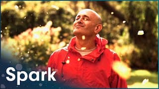 How We Detect Molecules | The Secrets Of Quantum Physics