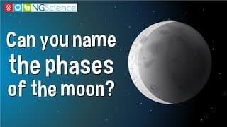 Can you name the phases of the moon?