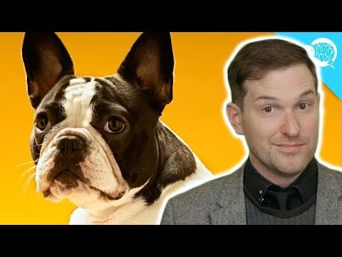 Is A 'Dog Year' Really 7 Years? - YouTube