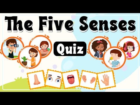 The Five Senses Quiz for Kids with Real-life Scenarios