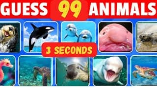 Guess the Animals | Animals Quiz