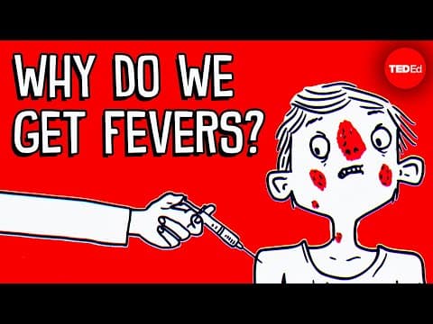 Why do you get a fever when you're sick? - Christian Moro - YouTube