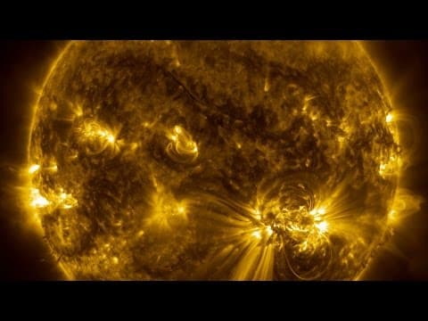 Observing Solar Twins Reveals the Future of Our Sun