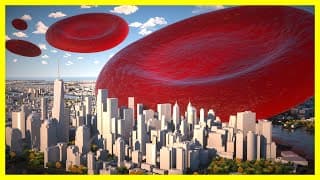 MICRO-WORLD on a Human Scale (3D Animation)