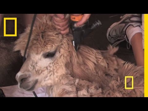 Cleaning an Oil Spill