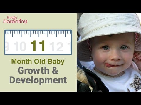11 month old baby -development, activities & care tips