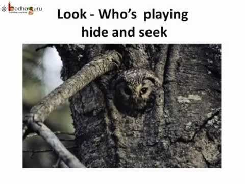 Science - how animals protect themselves - telugu